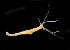  ( - CCDB-24621-D03)  @11 [ ] CreativeCommons - Attribution Non-Commercial Share-Alike (2017) Peter J. Bryant University of California, Irvine