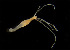  ( - CCDB-24621-D06)  @11 [ ] CreativeCommons - Attribution Non-Commercial Share-Alike (2017) Peter J. Bryant University of California, Irvine