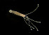  ( - CCDB-24621-D07)  @11 [ ] CreativeCommons - Attribution Non-Commercial Share-Alike (2017) Peter J. Bryant University of California, Irvine