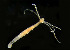  ( - CCDB-24621-D09)  @11 [ ] CreativeCommons - Attribution Non-Commercial Share-Alike (2017) Peter J. Bryant University of California, Irvine