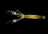  ( - CCDB 24005 B05)  @11 [ ] CreativeCommons - Attribution Non-Commercial Share-Alike (2018) Peter J. Bryant University of California, Irvine