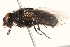  ( - BIOUG16746-A11)  @14 [ ] CreativeCommons - Attribution (2015) CBG Photography Group Centre for Biodiversity Genomics