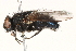  ( - BIOUG16746-B02)  @15 [ ] CreativeCommons - Attribution (2015) CBG Photography Group Centre for Biodiversity Genomics