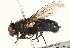  ( - BIOUG16746-D12)  @15 [ ] CreativeCommons - Attribution (2015) CBG Photography Group Centre for Biodiversity Genomics