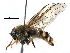  ( - BIOUG16746-E07)  @11 [ ] CreativeCommons - Attribution (2016) CBG Photography Group Centre for Biodiversity Genomics