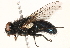  ( - BIOUG16746-E08)  @15 [ ] CreativeCommons - Attribution (2015) CBG Photography Group Centre for Biodiversity Genomics