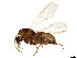  ( - BIOUG16908-C10)  @11 [ ] CreativeCommons - Attribution Share - Alike (2023) CBG Photography Group Centre for Biodiversity Genomics