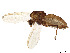  ( - BIOUG16912-D07)  @11 [ ] CreativeCommons - Attribution Share - Alike (2023) CBG Photography Group Centre for Biodiversity Genomics