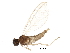  ( - BIOUG16925-H07)  @12 [ ] CreativeCommons - Attribution (2016) CBG Photography Group Centre for Biodiversity Genomics