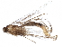  ( - BIOUG16944-A01)  @12 [ ] CreativeCommons - Attribution (2015) CBG Photography Group Centre for Biodiversity Genomics