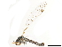  ( - BIOUG16993-D03)  @11 [ ] CreativeCommons - Attribution (2019) CBG Photography Group Centre for Biodiversity Genomics