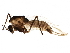  ( - BIOUG17040-A04)  @14 [ ] CreativeCommons - Attribution (2015) CBG Photography Group Centre for Biodiversity Genomics