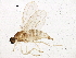  ( - BIOUG03535-D10)  @14 [ ] CreativeCommons - Attribution (2013) CBG Photography Group Centre for Biodiversity Genomics