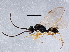  ( - BIOUG03559-H10)  @14 [ ] CreativeCommons - Attribution (2013) CBG Photography Group Centre for Biodiversity Genomics