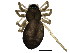  ( - BIOUG03583-G02)  @12 [ ] CreativeCommons - Attribution (2012) CBG Photography Group Centre for Biodiversity Genomics