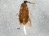  ( - BIOUG03582-A02)  @14 [ ] CreativeCommons - Attribution (2013) CBG Photography Group Centre for Biodiversity Genomics