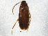  ( - BIOUG03582-A04)  @13 [ ] CreativeCommons - Attribution (2013) CBG Photography Group Centre for Biodiversity Genomics