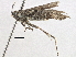 ( - BIOUG03585-B07)  @12 [ ] CreativeCommons - Attribution (2013) CBG Photography Group Centre for Biodiversity Genomics