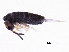  ( - BIOUG03773-G01)  @14 [ ] CreativeCommons - Attribution (2013) CBG Photography Group Centre for Biodiversity Genomics