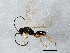  ( - BIOUG03580-H07)  @13 [ ] CreativeCommons - Attribution (2013) CBG Photography Group Centre for Biodiversity Genomics