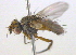  ( - BIOUG03912-F03)  @12 [ ] CreativeCommons - Attribution (2012) CBG Photography Group Centre for Biodiversity Genomics