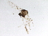  ( - BIOUG03870-H01)  @12 [ ] CreativeCommons - Attribution (2014) CBG Photography Group Centre for Biodiversity Genomics