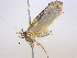  ( - BIOUG03976-B07)  @12 [ ] CreativeCommons - Attribution (2013) CBG Photography Group Centre for Biodiversity Genomics