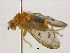  ( - BIOUG04192-C11)  @13 [ ] CreativeCommons - Attribution (2012) CBG Photography Group Centre for Biodiversity Genomics