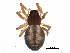  ( - BIOUG11402-C04)  @13 [ ] CreativeCommons - Attribution (2014) CBG Photography Group Centre for Biodiversity Genomics
