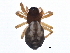  ( - BIOUG11402-C06)  @13 [ ] CreativeCommons - Attribution (2014) CBG Photography Group Centre for Biodiversity Genomics