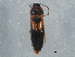  ( - BIOUG11446-D11)  @14 [ ] CreativeCommons - Attribution (2014) CBG Photography Group Centre for Biodiversity Genomics