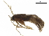  ( - BIOUG11447-F01)  @11 [ ] CreativeCommons - Attribution (2019) CBG Photography Group Centre for Biodiversity Genomics