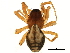  ( - BIOUG11599-D04)  @15 [ ] CreativeCommons - Attribution (2014) CBG Photography Group Centre for Biodiversity Genomics