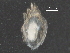  ( - BIOUG13379-A06)  @14 [ ] CreativeCommons - Attribution (2016) CBG Photography Group Centre for Biodiversity Genomics