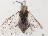  ( - BIOUG16993-E04)  @11 [ ] CreativeCommons - Attribution (2020) CBG Photography Group Centre for Biodiversity Genomics