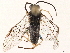  ( - BIOUG16993-E12)  @11 [ ] CreativeCommons - Attribution (2020) CBG Photography Group Centre for Biodiversity Genomics
