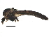  ( - BIOUG17221-G09)  @12 [ ] CreativeCommons - Attribution (2015) CBG Photography Group Centre for Biodiversity Genomics