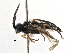  ( - BIOUG17363-C04)  @12 [ ] CreativeCommons - Attribution (2016) CBG Photography Group Centre for Biodiversity Genomics