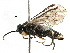  ( - BIOUG17363-C05)  @13 [ ] CreativeCommons - Attribution (2016) CBG Photography Group Centre for Biodiversity Genomics