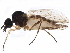 ( - BIOUG17577-H07)  @13 [ ] CreativeCommons - Attribution (2015) CBG Photography Group Centre for Biodiversity Genomics