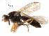  ( - BIOUG18404-C02)  @13 [ ] CreativeCommons - Attribution (2017) CBG Photography Group Centre for Biodiversity Genomics
