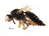  ( - BIOUG18406-A11)  @13 [ ] CreativeCommons - Attribution (2017) CBG Photography Group Centre for Biodiversity Genomics