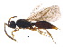  ( - BIOUG18436-D05)  @13 [ ] CreativeCommons - Attribution (2015) CBG Photography Group Centre for Biodiversity Genomics