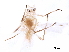  ( - BIOUG18928-B12)  @11 [ ] CreativeCommons - Attribution (2021) CBG Photography Group Centre for Biodiversity Genomics
