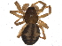  ( - BIOUG11314-B06)  @14 [ ] CreativeCommons - Attribution (2014) CBG Photography Group Centre for Biodiversity Genomics