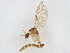  ( - BIOUG11659-H04)  @11 [ ] CreativeCommons - Attribution (2022) CBG Photography Group Centre for Biodiversity Genomics