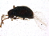  ( - BIOUG11842-H10)  @13 [ ] CreativeCommons - Attribution (2014) CBG Photography Group Centre for Biodiversity Genomics