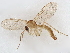  ( - BIOUG11963-H08)  @11 [ ] CreativeCommons - Attribution (2022) CBG Photography Group Centre for Biodiversity Genomics