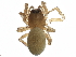  ( - BIOUG17786-D10)  @14 [ ] CreativeCommons - Attribution (2015) CBG Photography Group Centre for Biodiversity Genomics