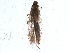  ( - BIOUG17786-F05)  @12 [ ] CreativeCommons - Attribution (2015) CBG Photography Group Centre for Biodiversity Genomics